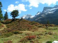 Klik op de foto voor groter formaat